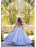 Sky Blue Beaded Lace Tulle 3D Buttterfly Fairytale Flower Girl Dress